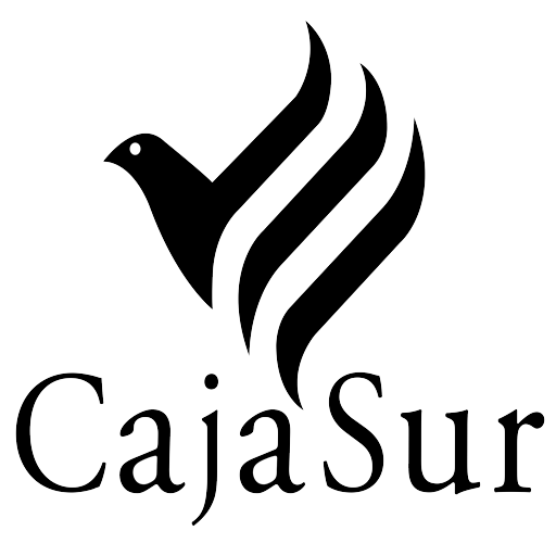 CAJA SUR – Orientaciones para la  atención eficaz del cliente interno